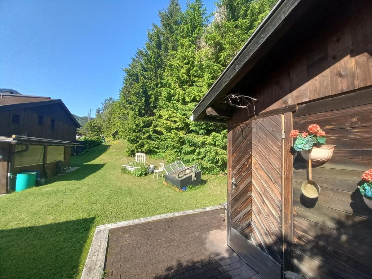 Fewo M & M Scharnitz Exteriör bild